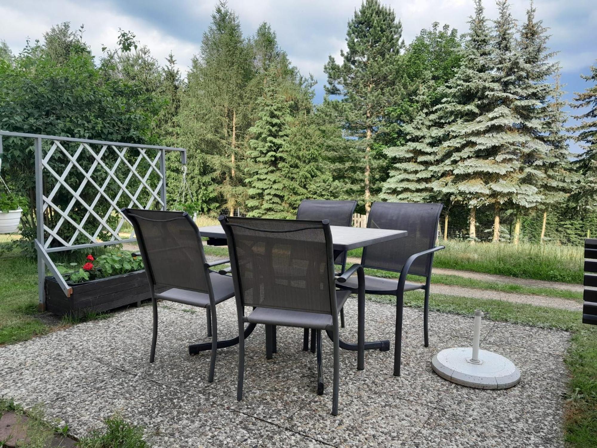 Ferienwohnung Blick Zum Zirkelstein Reinhardtsdorf-Schona 外观 照片