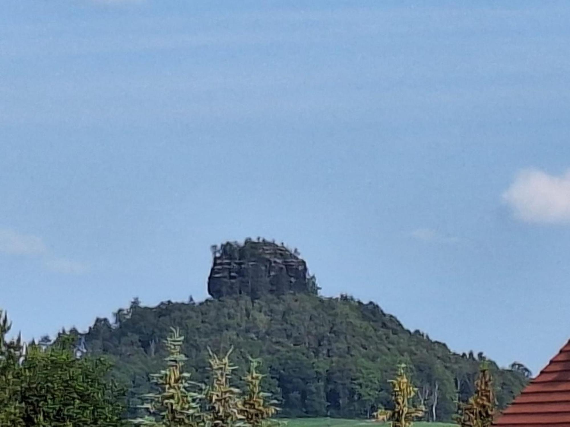 Ferienwohnung Blick Zum Zirkelstein Reinhardtsdorf-Schona 外观 照片