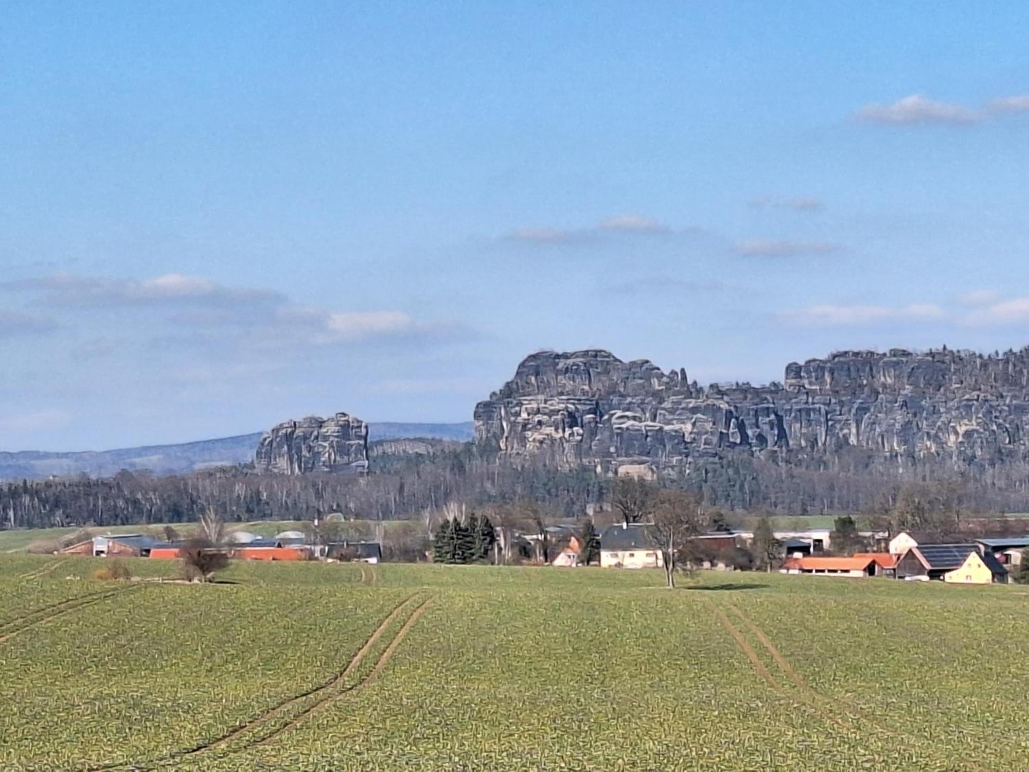 Ferienwohnung Blick Zum Zirkelstein Reinhardtsdorf-Schona 外观 照片